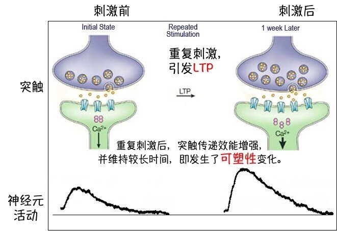 https://www.crn.net.cn/research/img/02.jpg