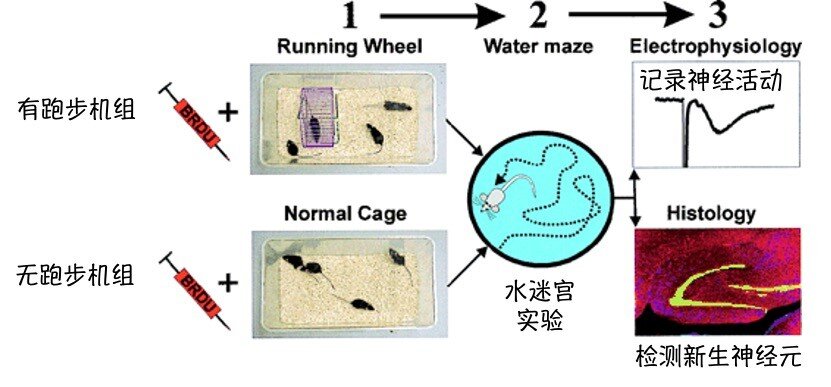 https://www.crn.net.cn/research/img/03.jpg